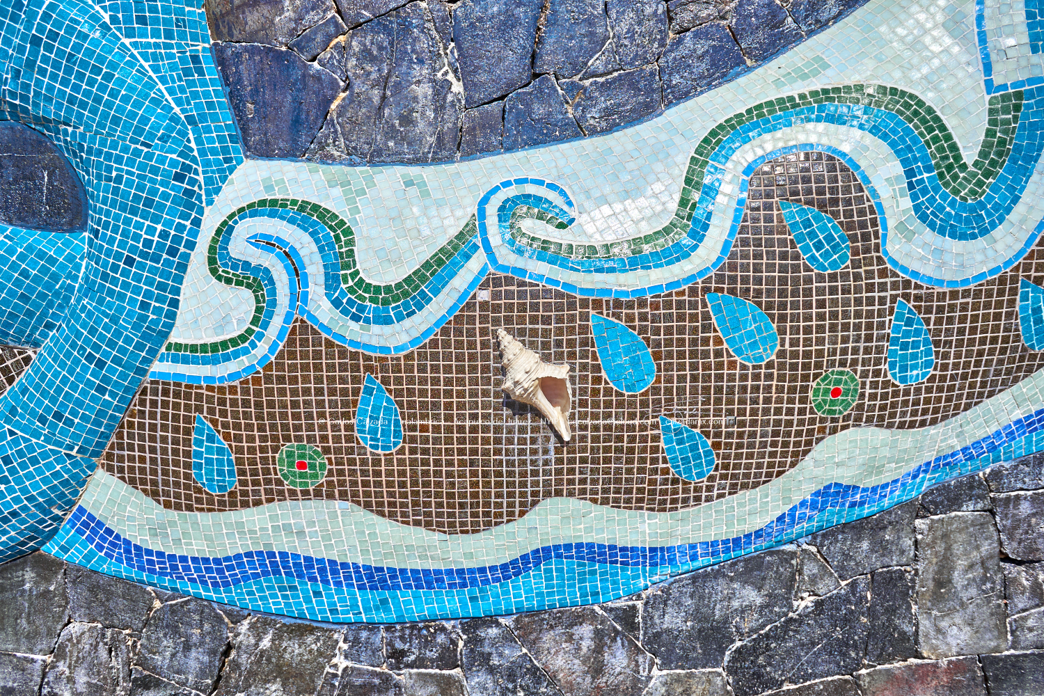 Diego Rivera - DSC02795 - ene 15 2025.png